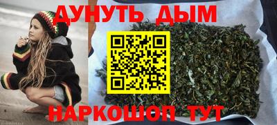 индика Шелехов