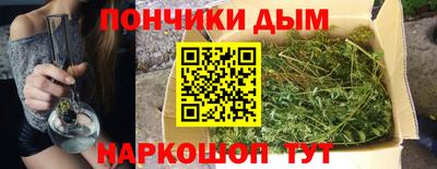индика Шелехов