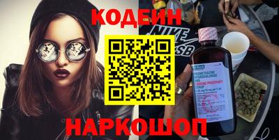 индика Шелехов